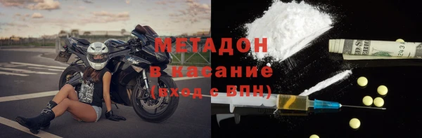 индика Арсеньев