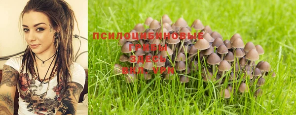 индика Арсеньев
