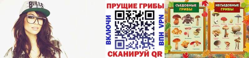 Галлюциногенные грибы Psilocybine cubensis  купить   Устюжна 